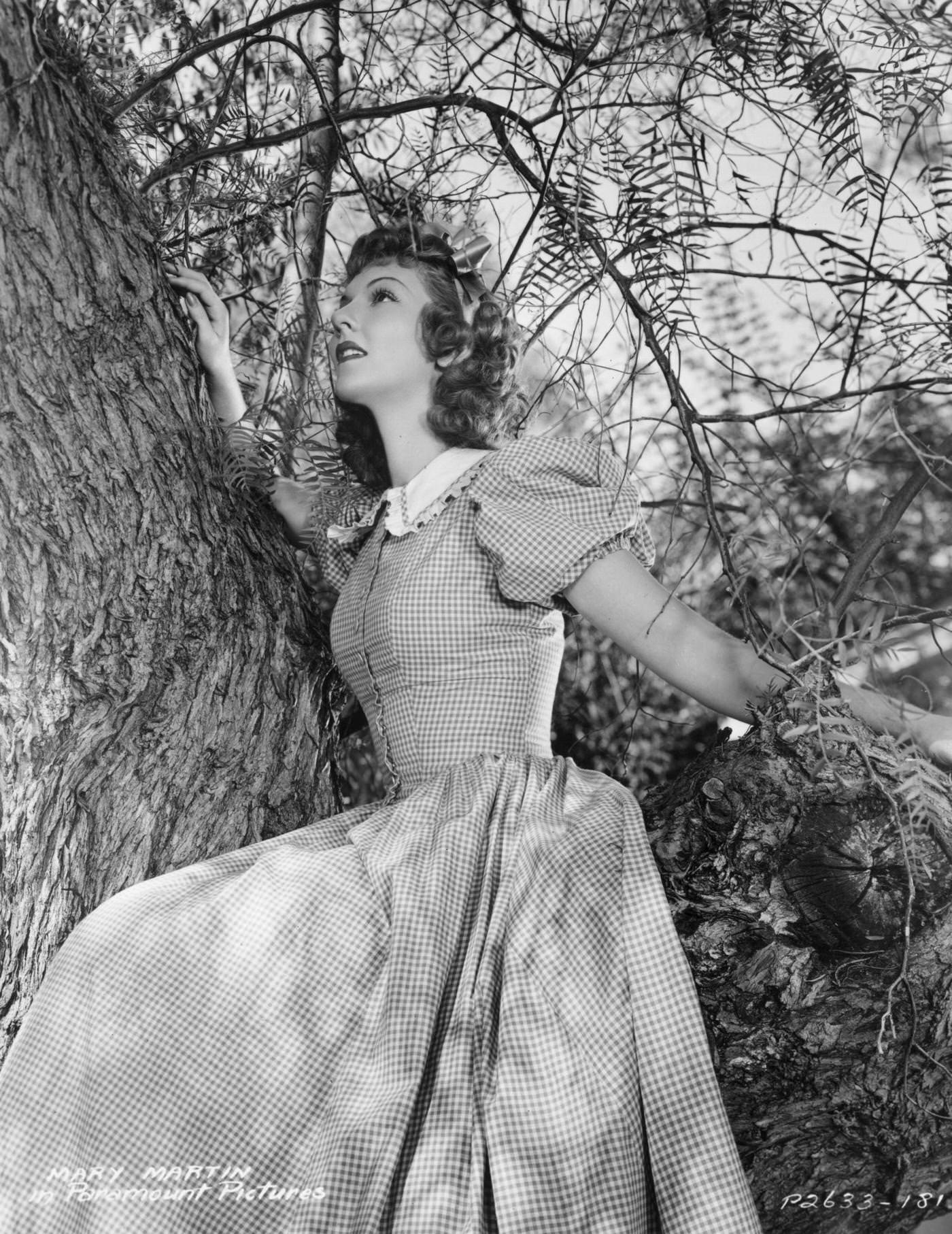 Actress Mary Martin Climbs A Tree In The Film 'The Great Victor Herbert', A Biopic Of The Famous Composer, Directed By Andrew L Stone For Paramount.