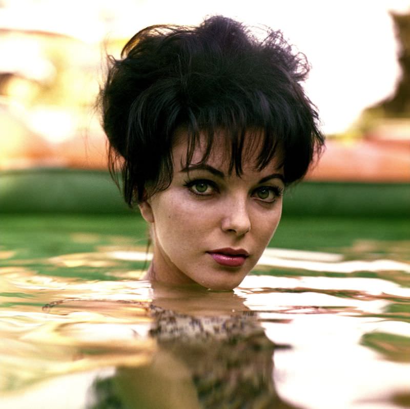 Joan Collins By Chiara Samugheo, 1950S