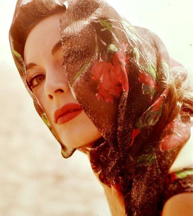 Gianna Maria Canale, Photo By Chiara Samugheo, 1960