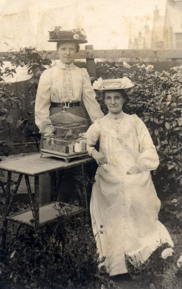 The Crowning Glory: The Extravagant Hat Fashion Of The Edwardian Era'S Women