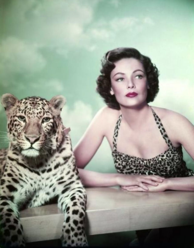 Daring And Dazzling: Gene Tierney Steals The Show In 1954 Photo Shoot With A Leopard