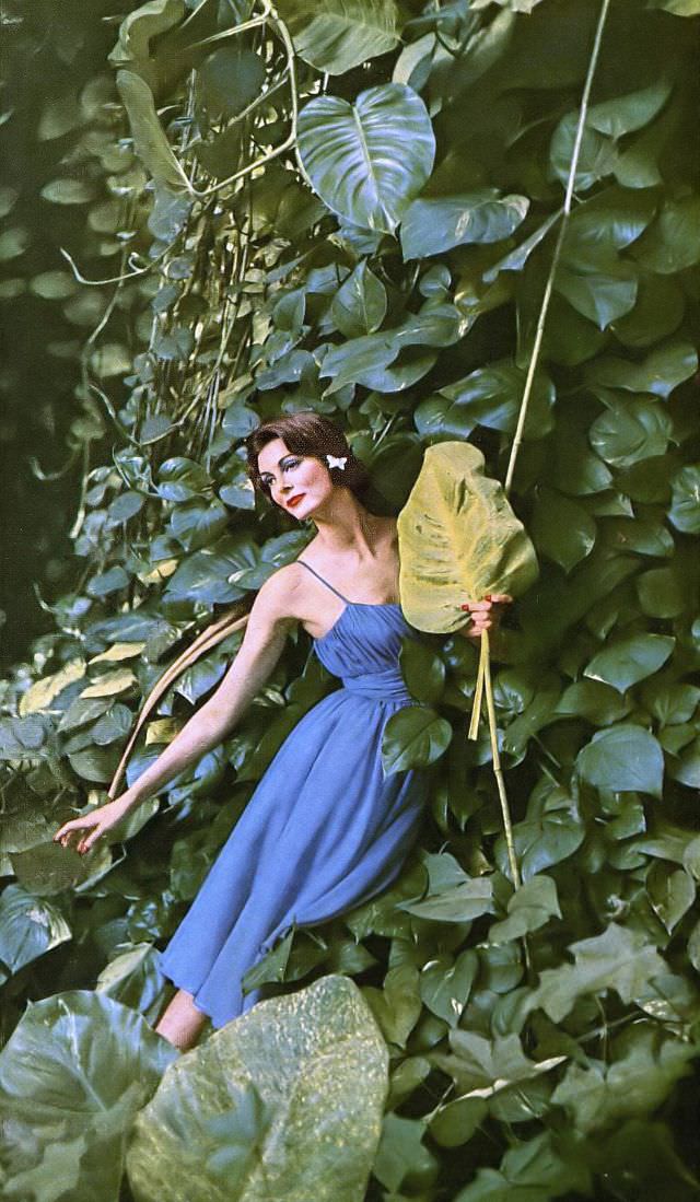 Carmen Dell'Orefice In Lovely Blue Evening Dress Of Supima Cotton By Jerry Parnis, Hawaii, Harper'S Bazaar, January 1959