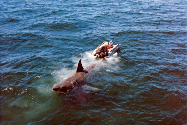 Jaws 1975: How Spielberg Created One Of The Most Iconic Films Of All Time