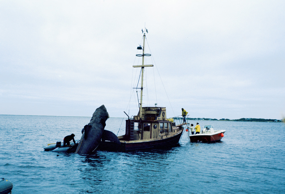 Jaws 1975: How Spielberg Created One Of The Most Iconic Films Of All Time