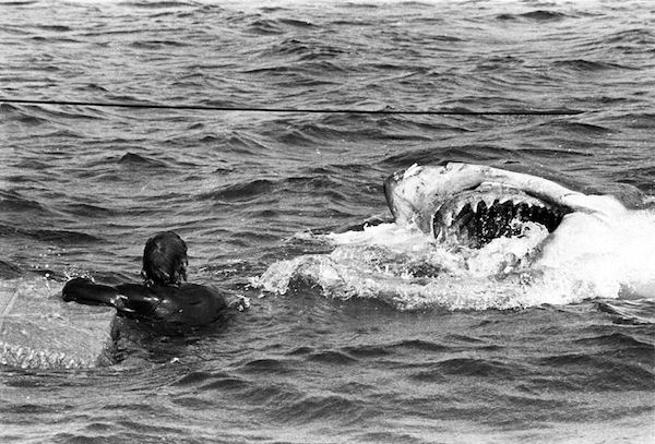 Jaws 1975: How Spielberg Created One Of The Most Iconic Films Of All Time