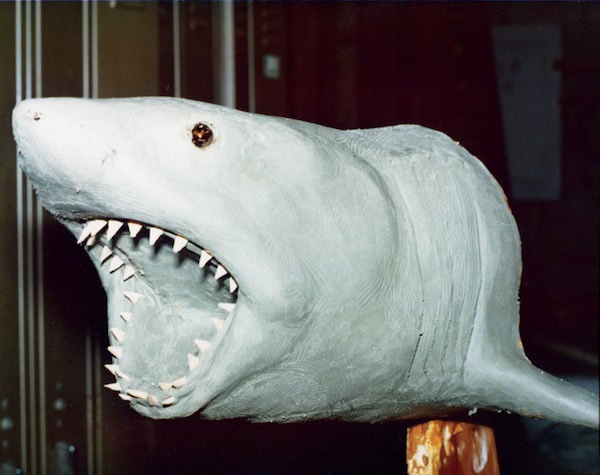 Jaws 1975: How Spielberg Created One Of The Most Iconic Films Of All Time