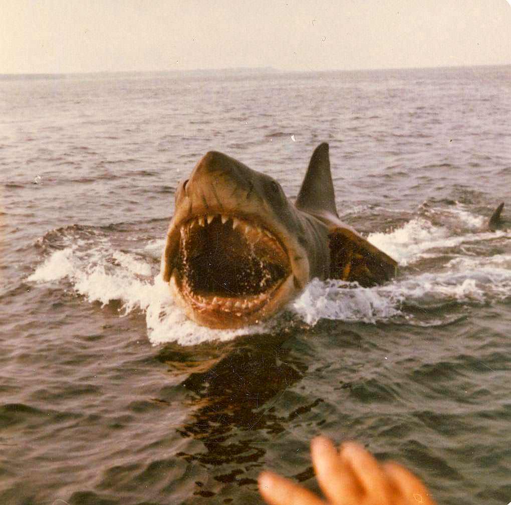 Jaws 1975: How Spielberg Created One Of The Most Iconic Films Of All Time