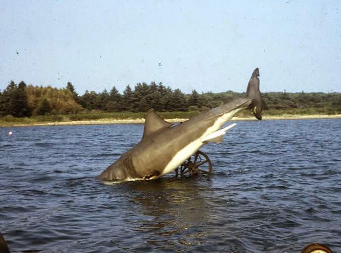 Jaws 1975: How Spielberg Created One Of The Most Iconic Films Of All Time