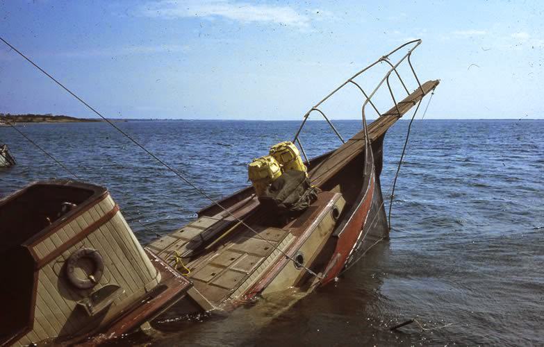 Jaws 1975: How Spielberg Created One Of The Most Iconic Films Of All Time