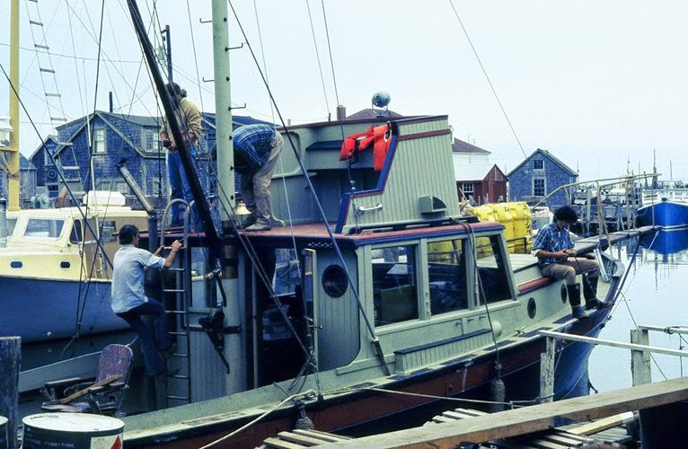 Jaws 1975: How Spielberg Created One Of The Most Iconic Films Of All Time