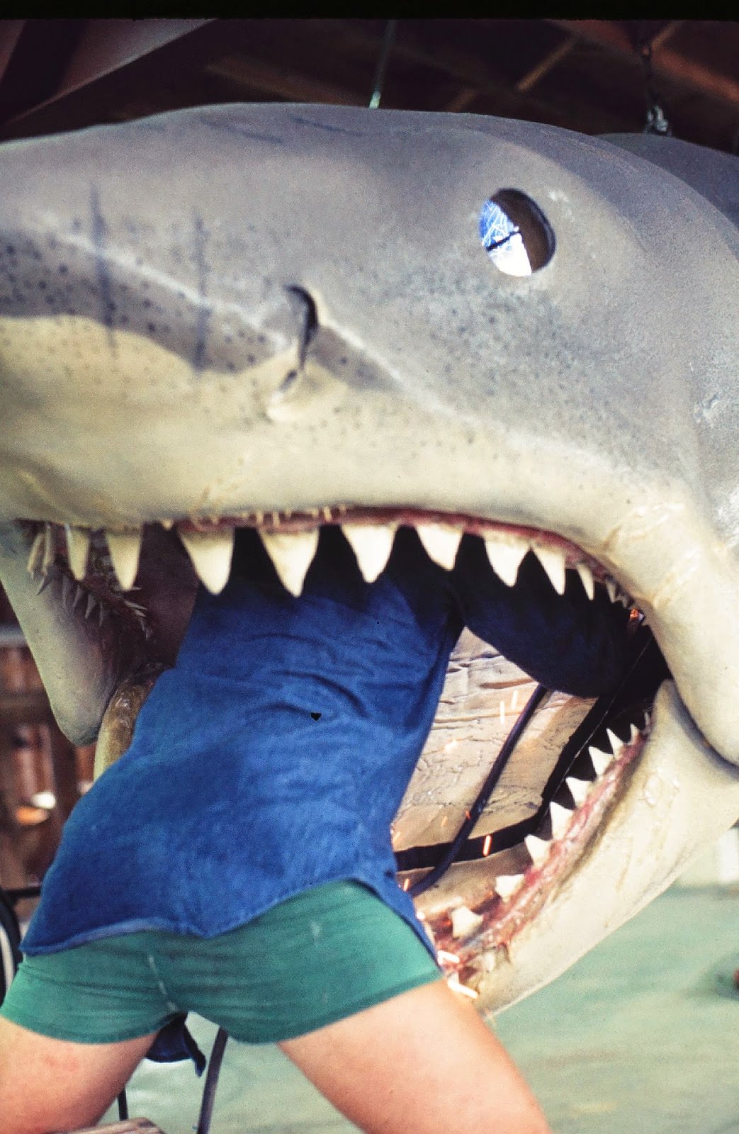 Jaws 1975: How Spielberg Created One Of The Most Iconic Films Of All Time