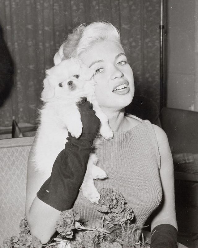 The Blonde Bombshell In The Lowlands: Jayne Mansfield'S Visit To The Netherlands In 1957