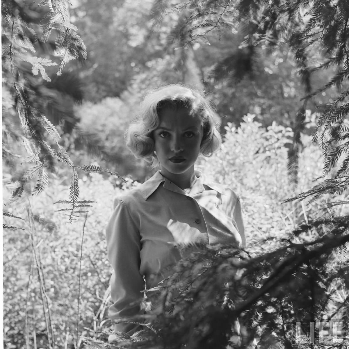 Marilyn Monroe'S Hike In The Woods In 1950: A Photographic Journey You Don'T Want To Miss