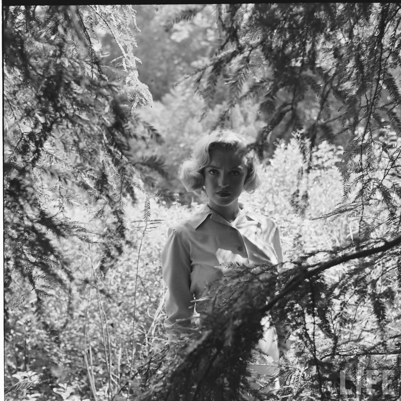 Marilyn Monroe'S Hike In The Woods In 1950: A Photographic Journey You Don'T Want To Miss