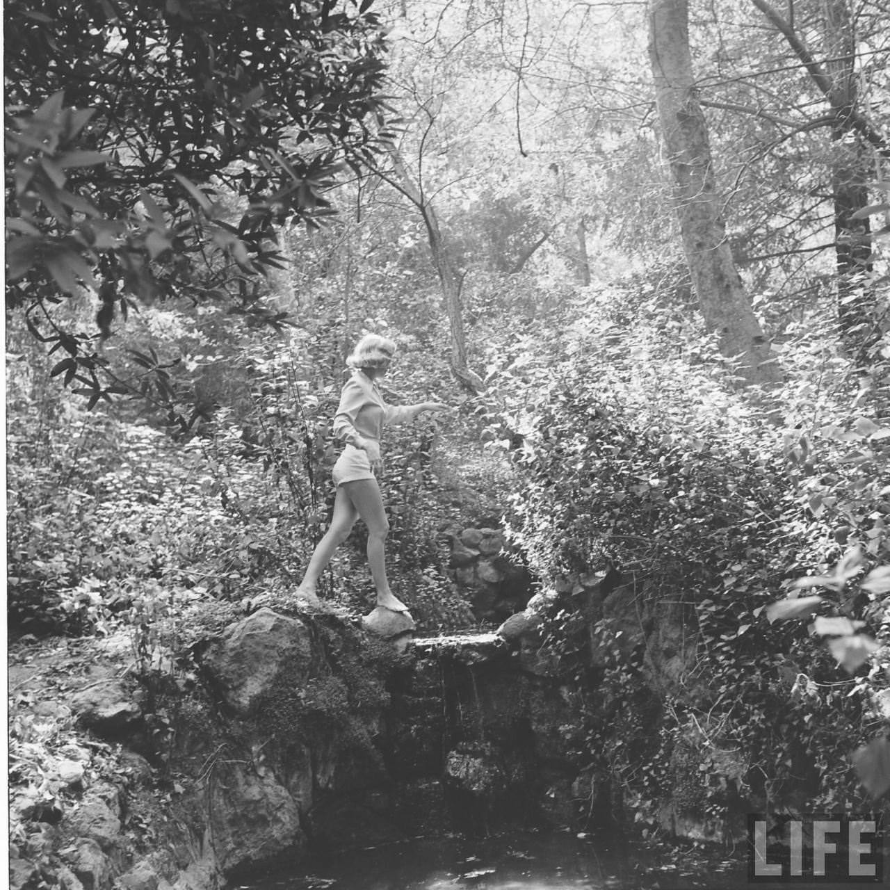 Marilyn Monroe'S Hike In The Woods In 1950: A Photographic Journey You Don'T Want To Miss
