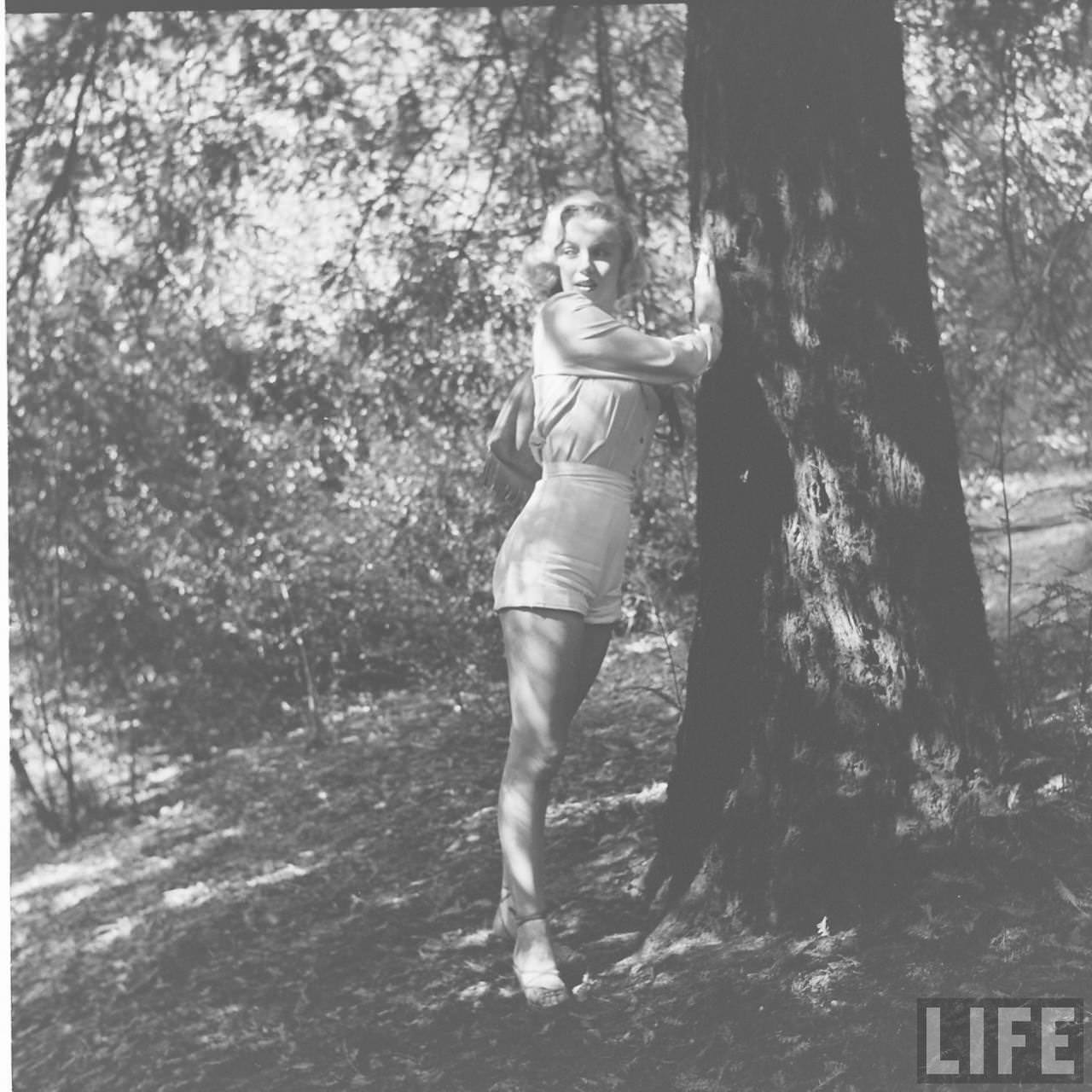 Marilyn Monroe'S Hike In The Woods In 1950: A Photographic Journey You Don'T Want To Miss