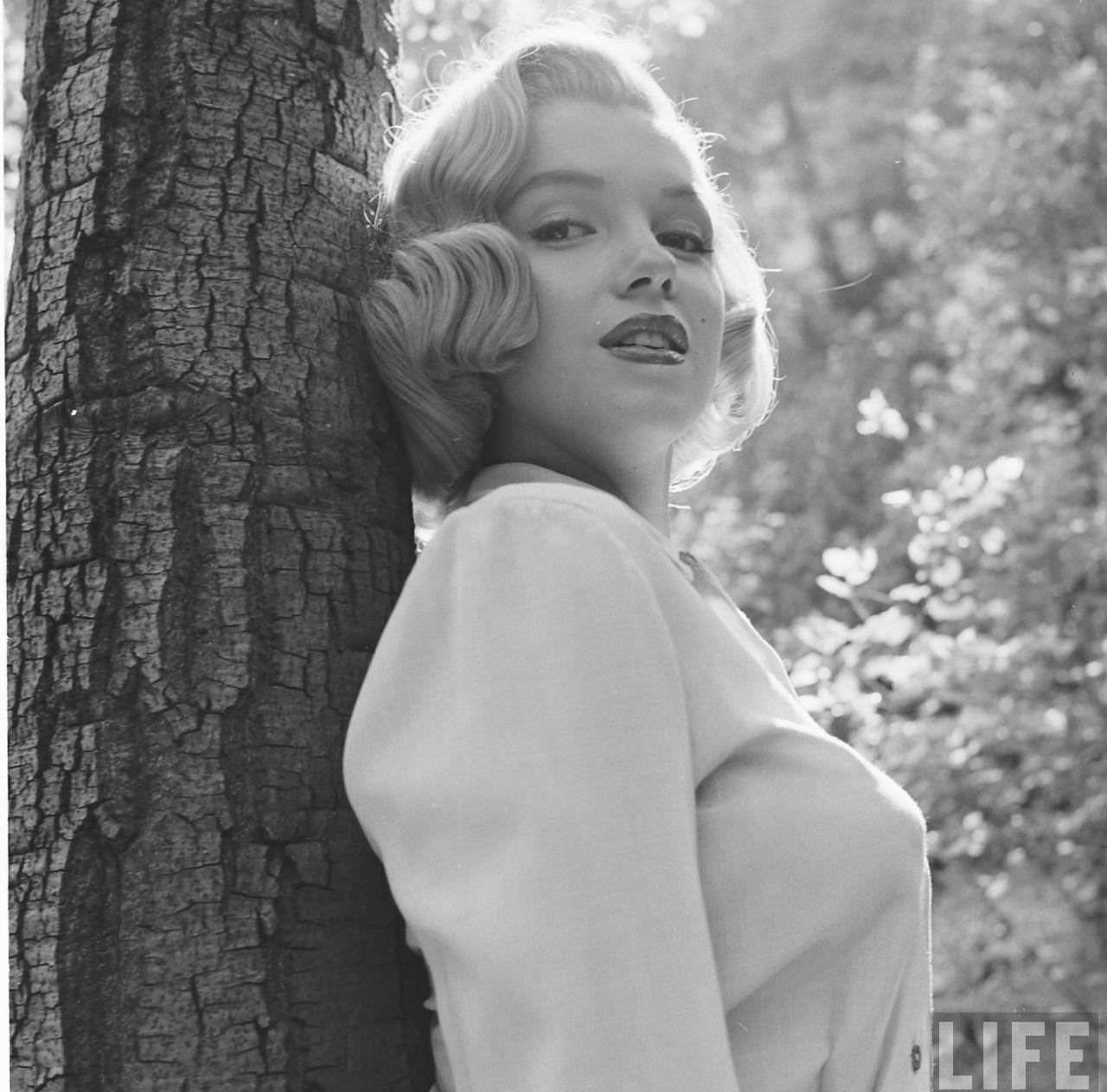 Marilyn Monroe'S Hike In The Woods In 1950: A Photographic Journey You Don'T Want To Miss