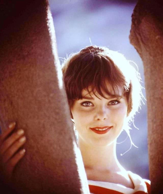 Anne Helm: Life Story And Photos Of Hollywood'S Unsung Heroine And Multifaceted Talent