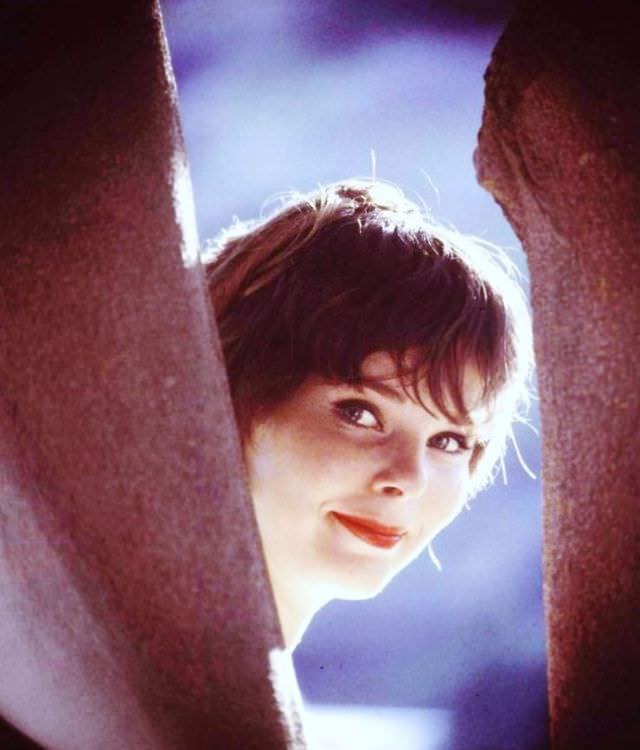 Anne Helm: Life Story And Photos Of Hollywood'S Unsung Heroine And Multifaceted Talent