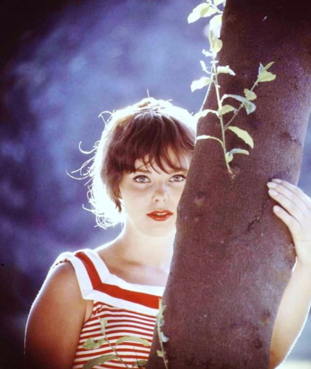 Anne Helm: Life Story and Photos of Hollywood’s Unsung Heroine and