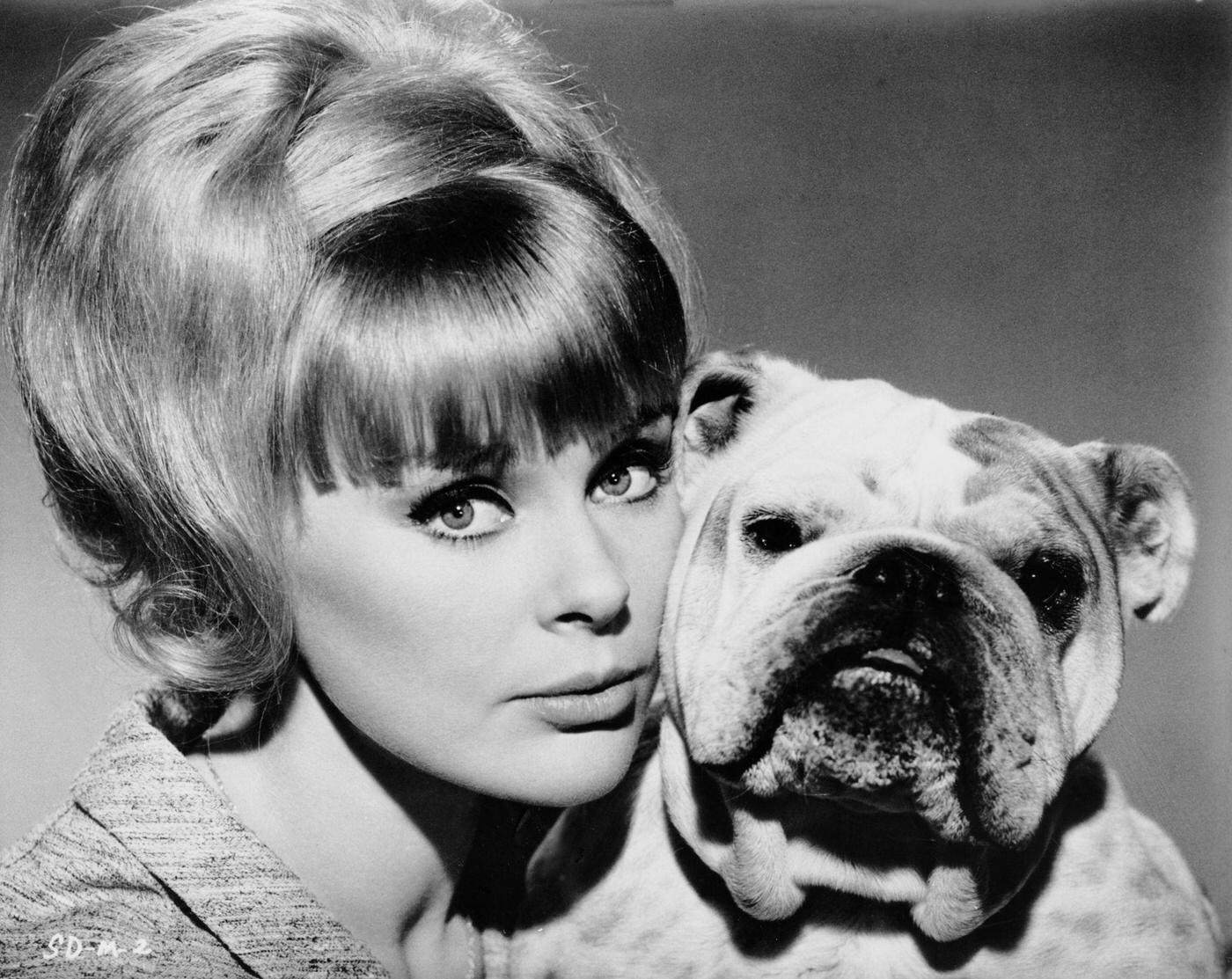 Elke Sommer As Maria Gambrelli With A Dog In A Publicity Still For The 1964 Film &Amp;Quot;A Shot In The Dark&Amp;Quot;.