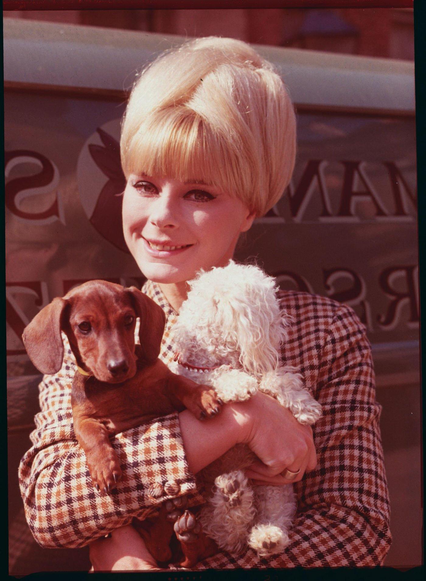 Elke Sommer Holding Two Small Dogs, One White And One Brown.