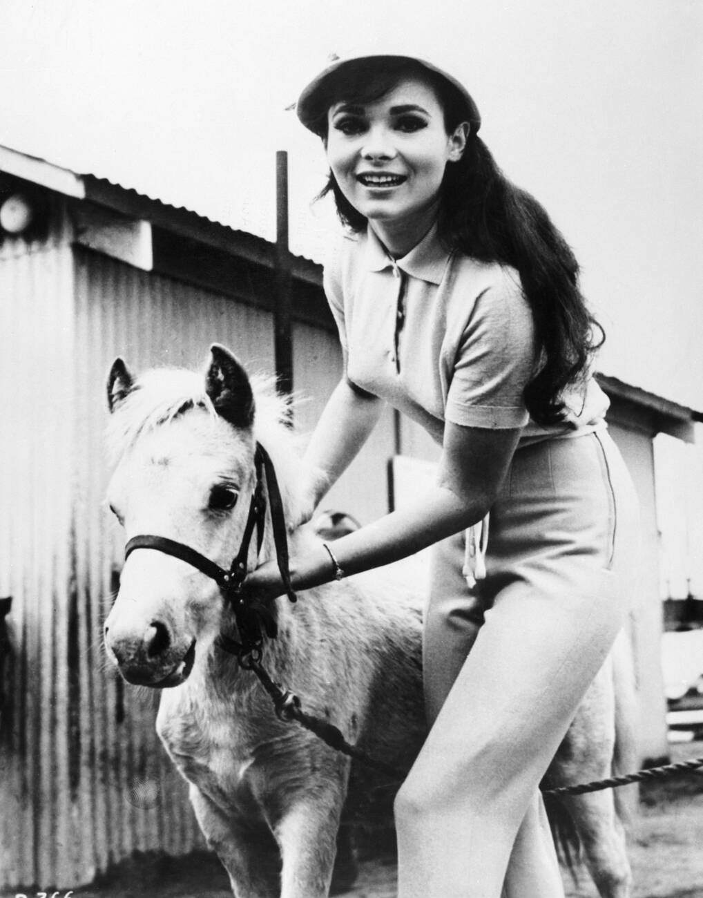 Gila Golan With A Pony In The 1960S.