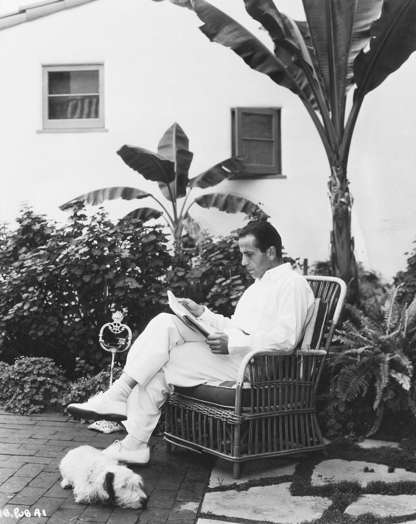 Humphrey Bogart In A Publicity Shot