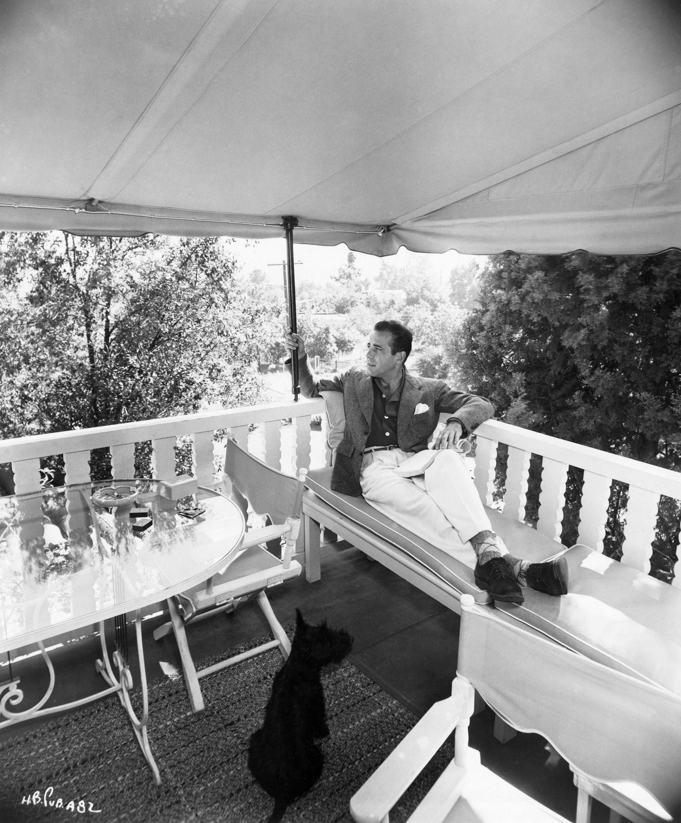 Humphrey Bogart Lounging On A Deck With His Dog, Undated Photo