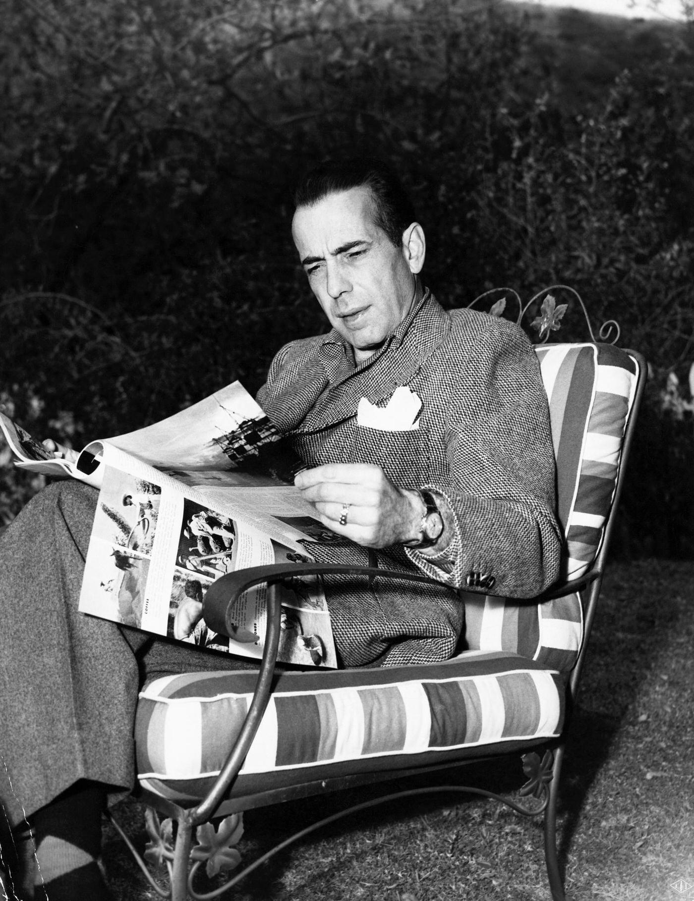 Humphrey Bogart Relaxing In The Garden Of His Beverly Hills Home, Star Of Warner Bros. Chain Lightening