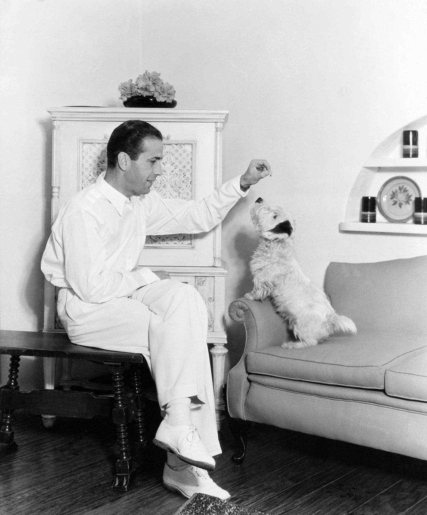 Humphrey Bogart Playing With His Dog