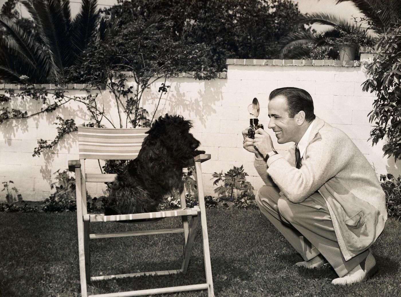 Humphrey Bogart Photographing His Dog, An Ardent Camera And Movie-Fan