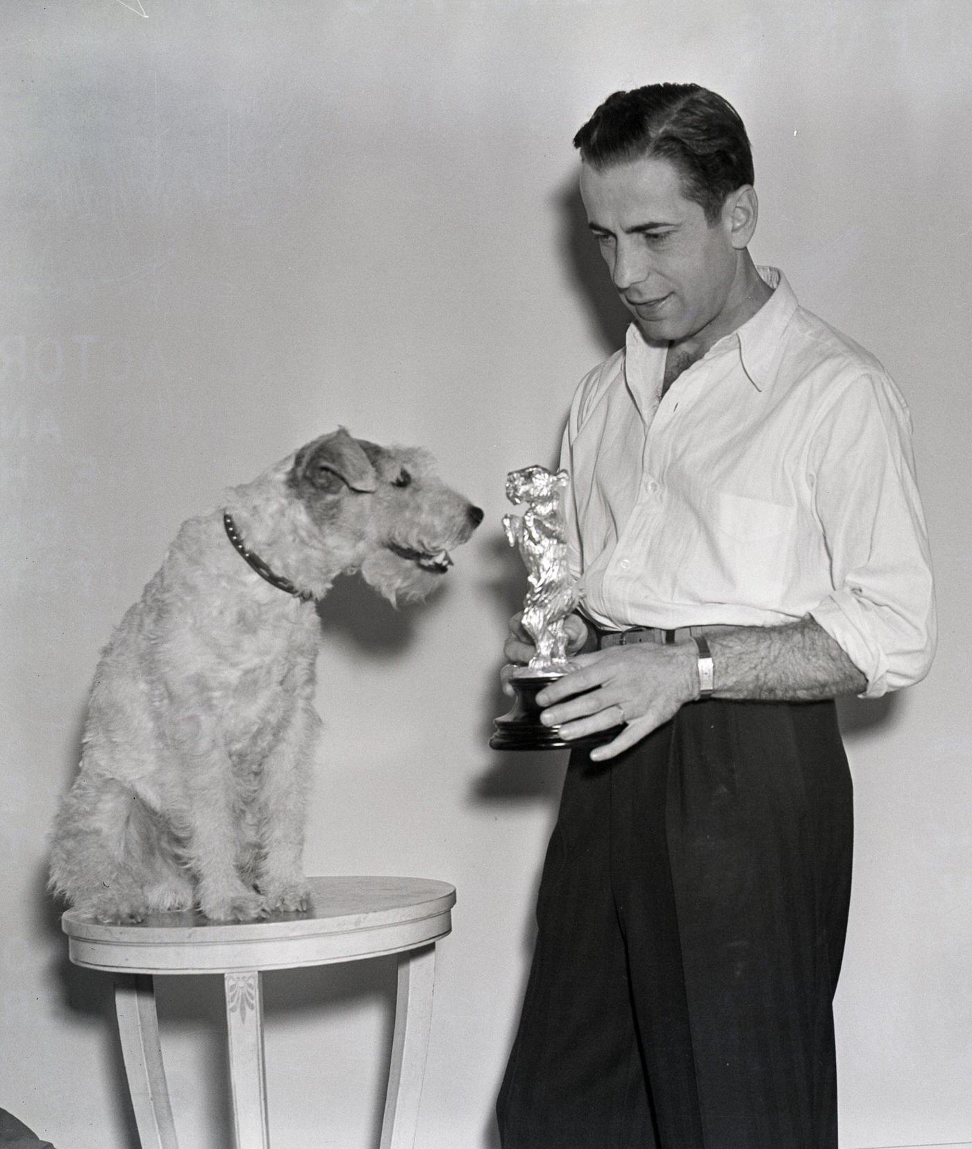Humphrey Bogart Presents A Silver Dog Statuette To Skippy, A Terrier, On March 11, 1938.