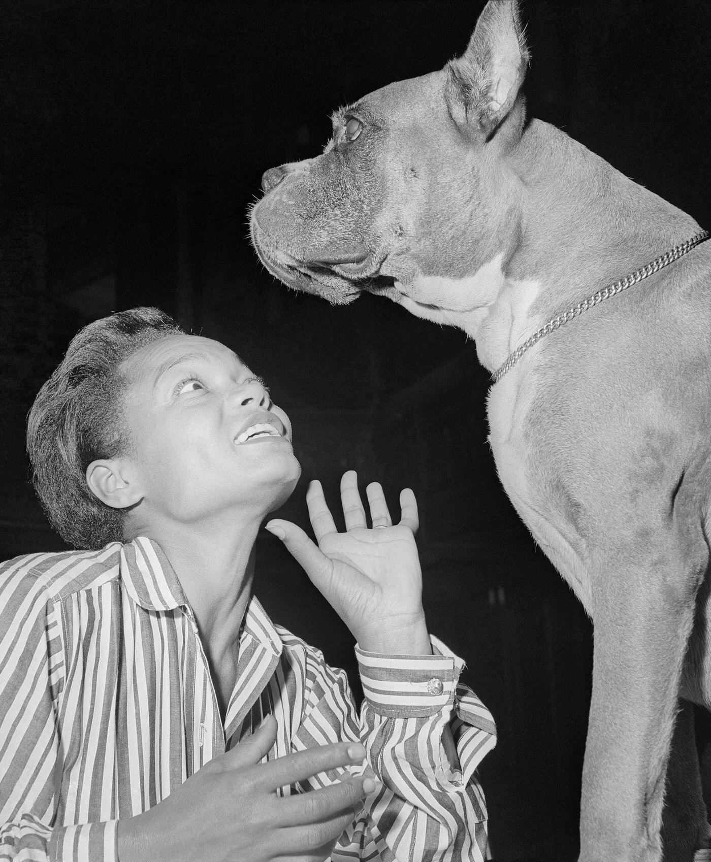 Eartha Kitt Practicing Lines For Her Broadway Play &Amp;Quot;Mrs. Patterson&Amp;Quot; With &Amp;Quot;Champ,&Amp;Quot; The Stage Manager'S Dog.