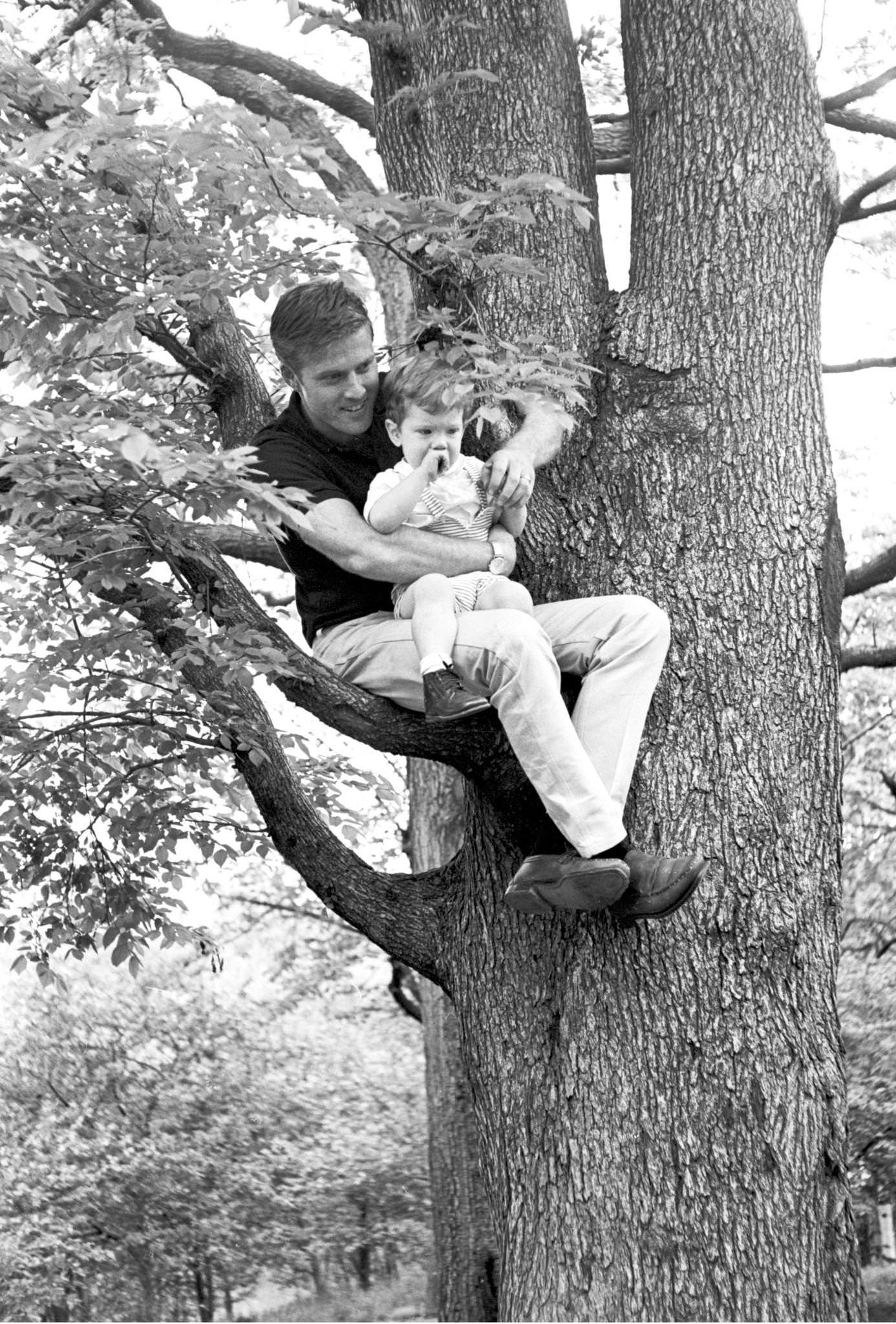 Robert Redford And His Son David Sitting On A Tree Branch In Central Park, New York, 1966.