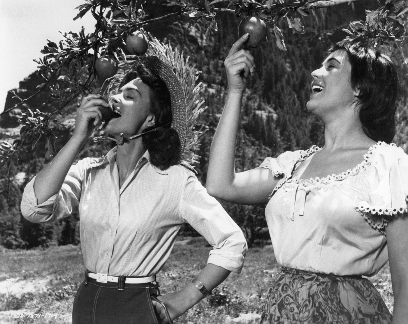 Donna Reed Bites An Apple While Roberta Haynes Picks One In A Scene From 'Gun Fury', 1953.