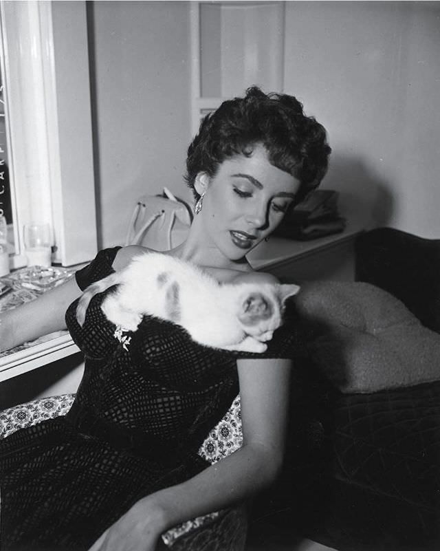 Elizabeth Taylor Shines In 'The Girl Who Had Everything' (1953)