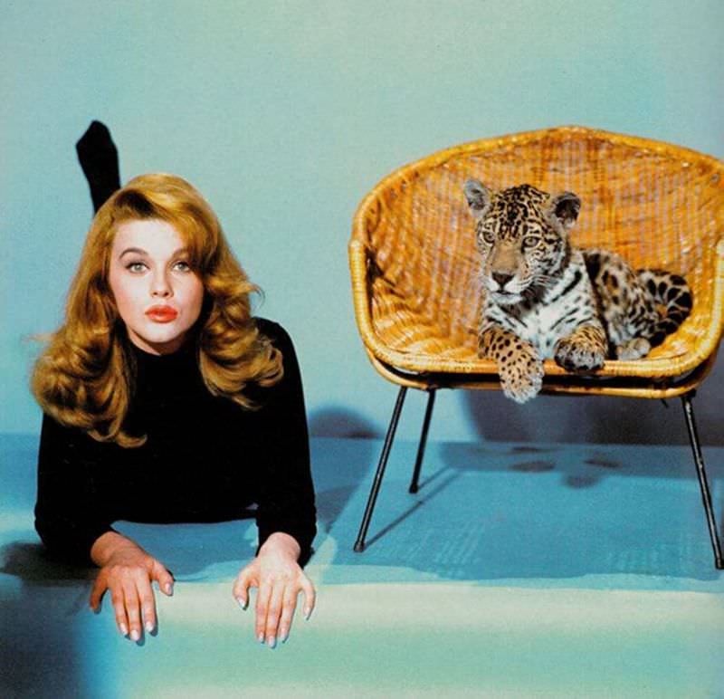 Ann-Margret'S Unforgettable Performance In 'Kitten With A Whip' (1964)