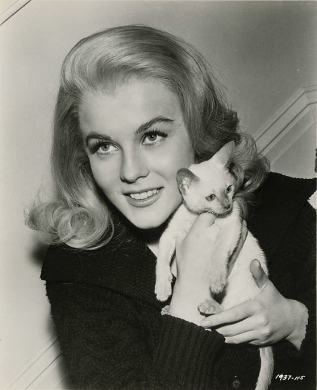 Ann-Margret'S Unforgettable Performance In 'Kitten With A Whip' (1964)