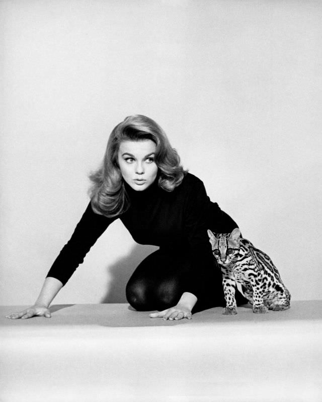 Ann-Margret'S Unforgettable Performance In 'Kitten With A Whip' (1964)