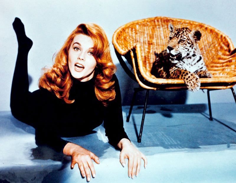 Ann-Margret'S Unforgettable Performance In 'Kitten With A Whip' (1964)