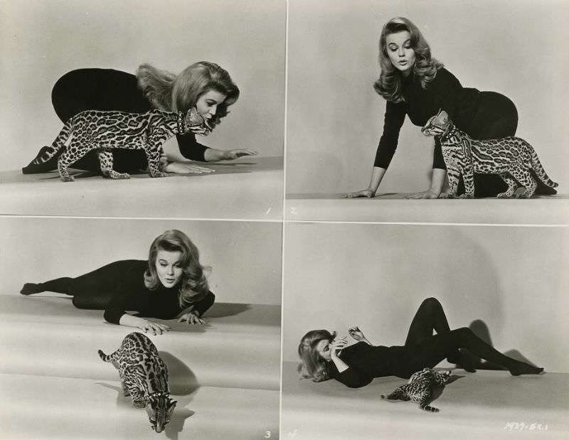 Ann-Margret'S Unforgettable Performance In 'Kitten With A Whip' (1964)