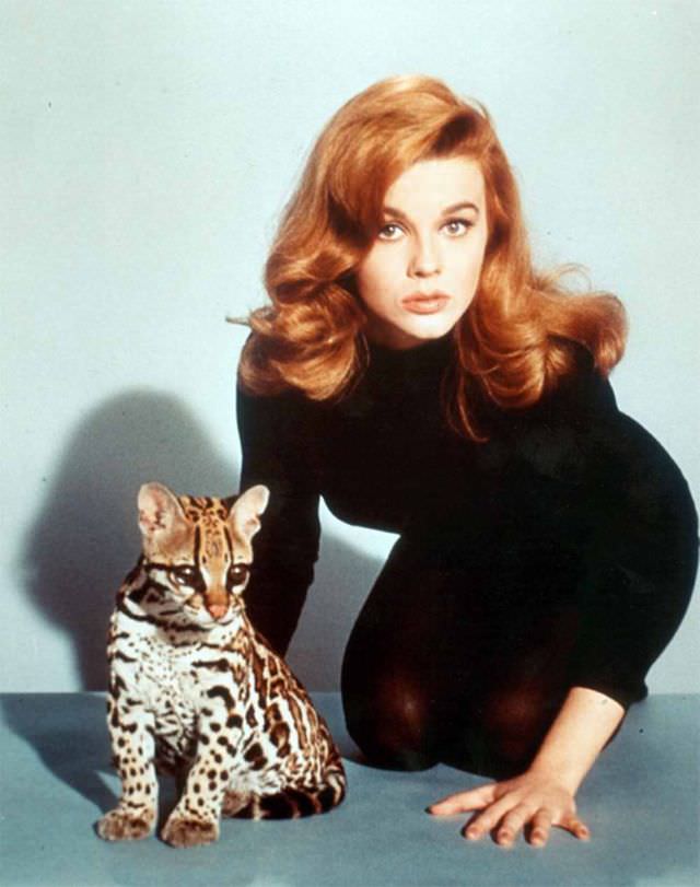 Ann-Margret'S Unforgettable Performance In 'Kitten With A Whip' (1964)