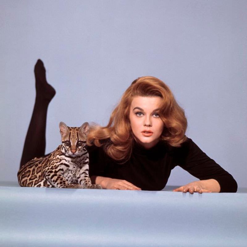 Ann-Margret'S Unforgettable Performance In 'Kitten With A Whip' (1964)