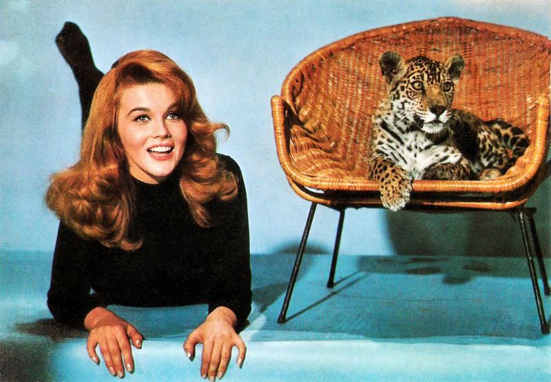 Ann-Margret'S Unforgettable Performance In 'Kitten With A Whip' (1964)