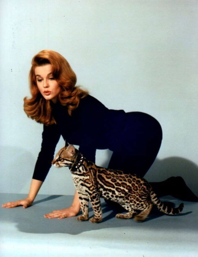 Ann-Margret'S Unforgettable Performance In 'Kitten With A Whip' (1964)