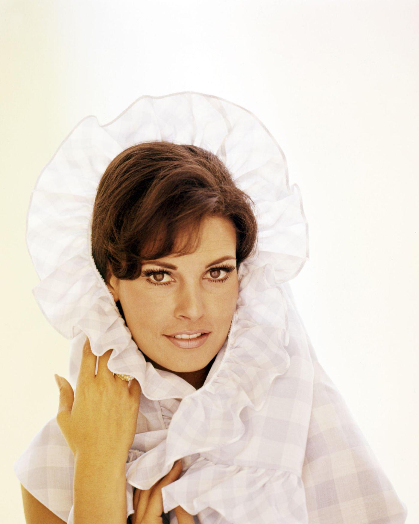 A Look Back At Raquel Welchs Timeless Style And Glamour In The 1960s 