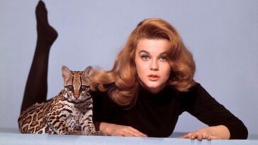 Kitten With A Whip 1964