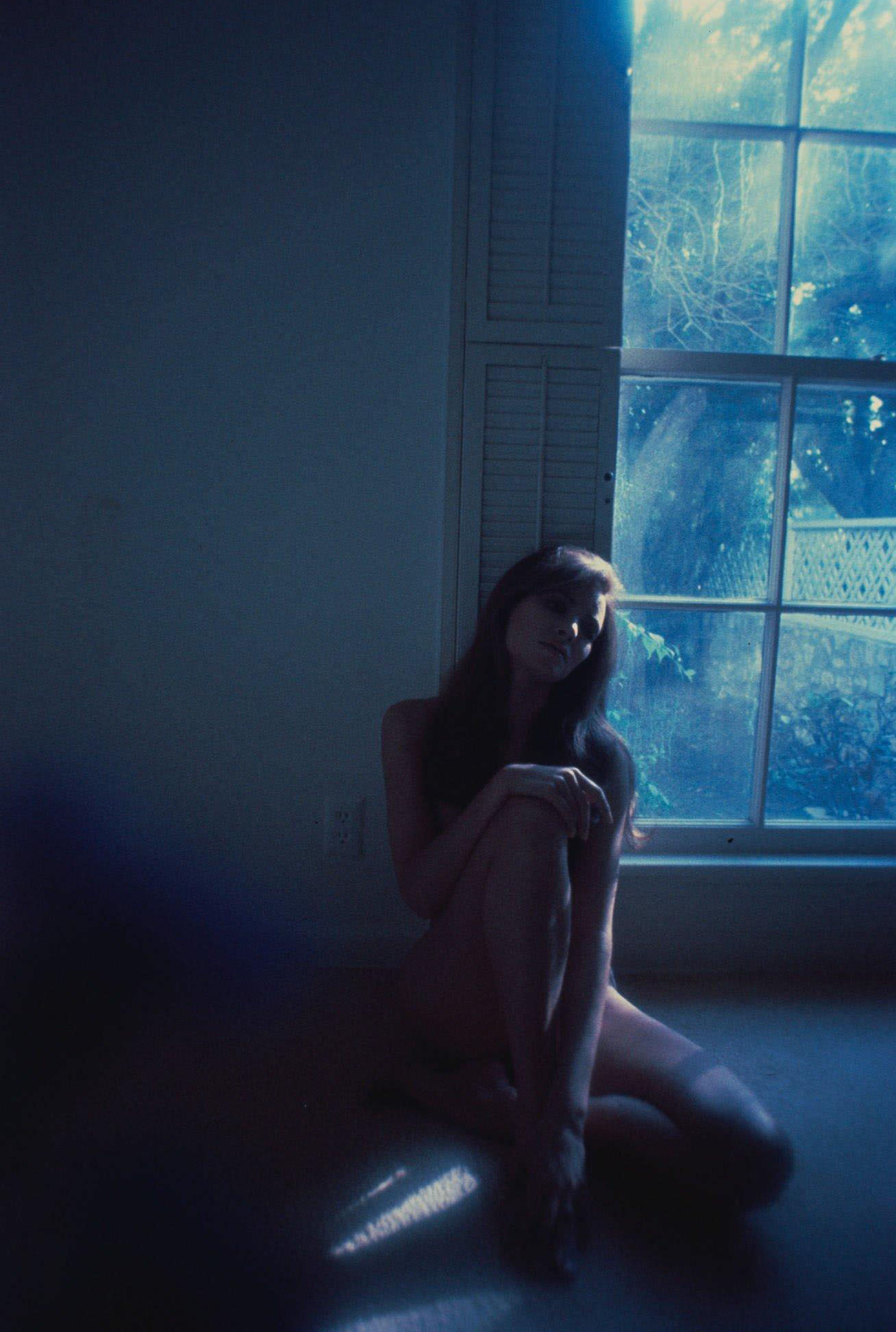 Raquel Welch Sitting By A Window.