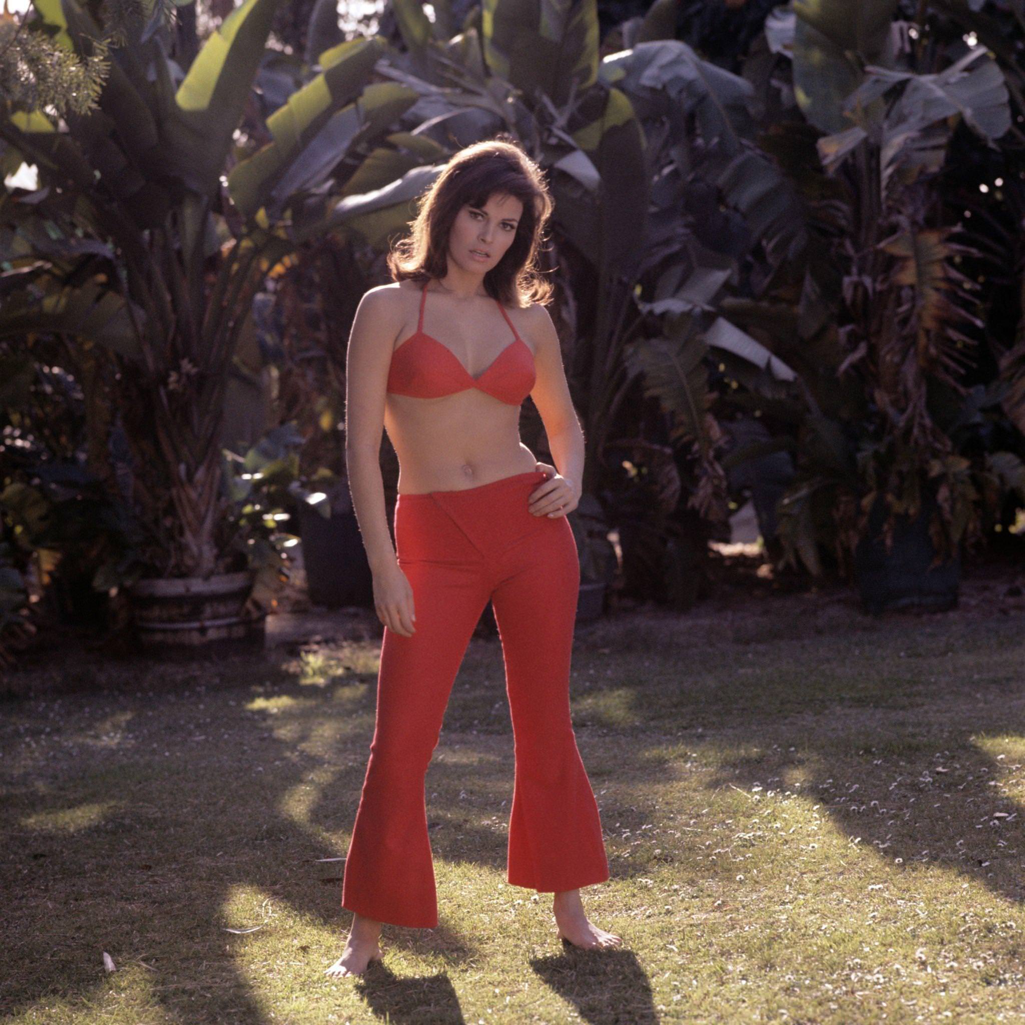 Raquel Welch Wearing A Red Top, 1960S.